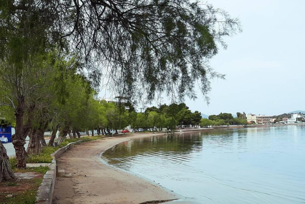 Πολυτελές Διαμέρισμα 3 Χαλκίδα-Παραλία Αυλίδος Paralia Avlidhos 외부 사진