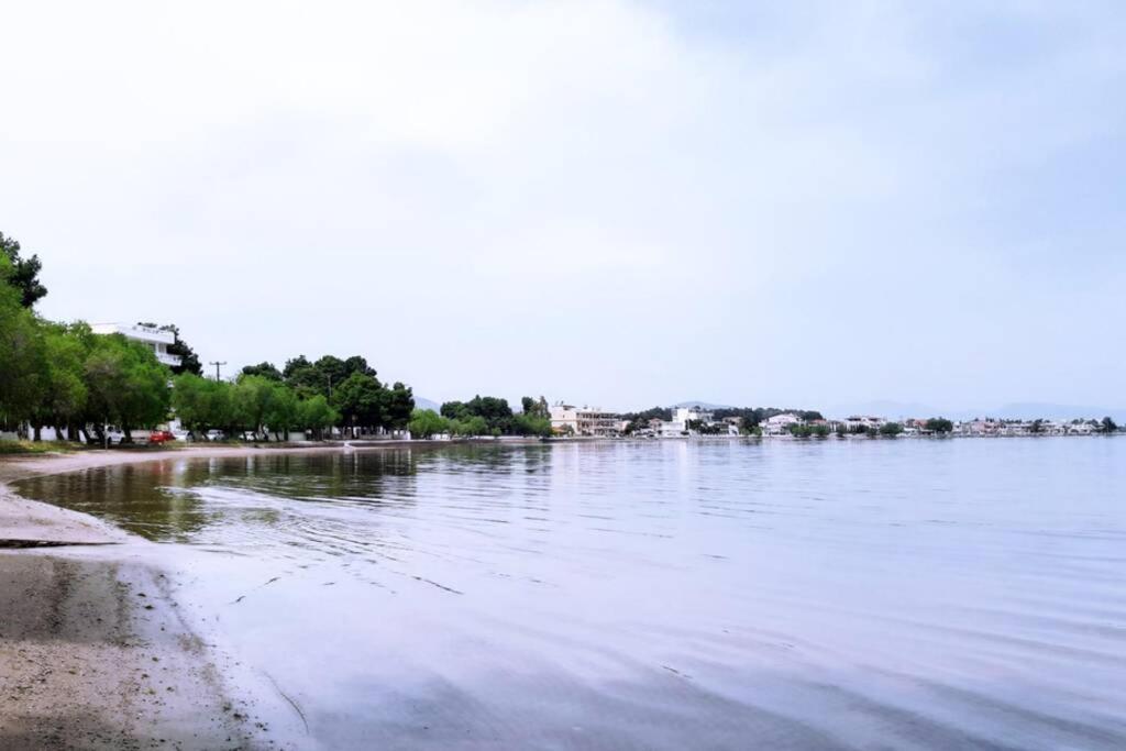 Πολυτελές Διαμέρισμα 3 Χαλκίδα-Παραλία Αυλίδος Paralia Avlidhos 외부 사진